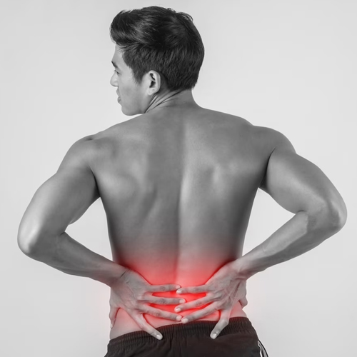 Pain in the lower back